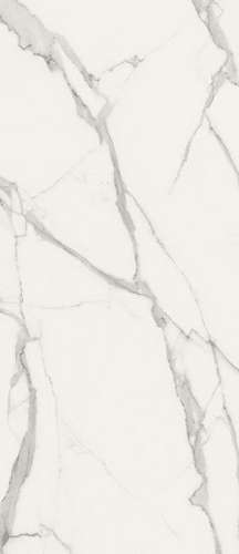 Фото ROMA DIAMOND 50 STATUARIO BRILLANTE (fPQE) керамическая плитка 120x50, цена 5 874 руб./м2